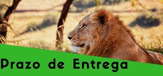 Imposto de renda tem o prazo prorrogado para 30 de Junho.