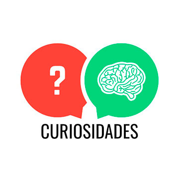 Dia da Consciência Negra – Curiosidades