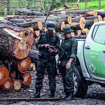 Sete décadas de bravura pela fauna e flora paulistas