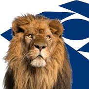 Alerta: erro em descontos de participação nos Informes de Rendimento 2020 pela SPPREV