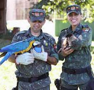 PM Ambiental divulga balanço de atividades