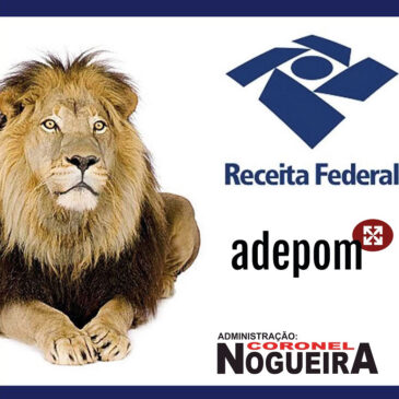 Faça gratuitamente sua Declaração de Imposto de Renda na ADEPOM