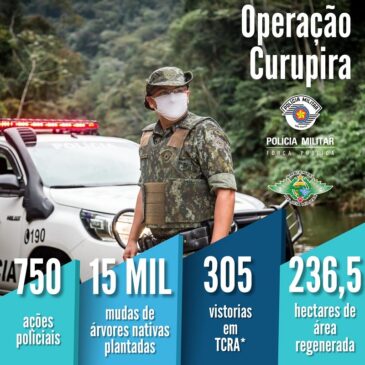 PM Ambiental planta mais de 15 mil mudas de árvores e lança concurso artístico