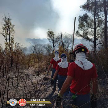 Controlado incêndio no Parque do Juquery