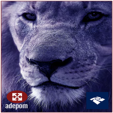 IR: já consultou seu informe de rendimento na PGE? Não caia na malha fina!