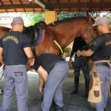 Dia Nacional da Cavalaria: parabéns ao RPMon pelo seu trabalho responsável e eficiente