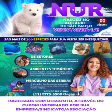 Que tal conhecer a filhote Nur com desconto no Aquário de São Paulo?